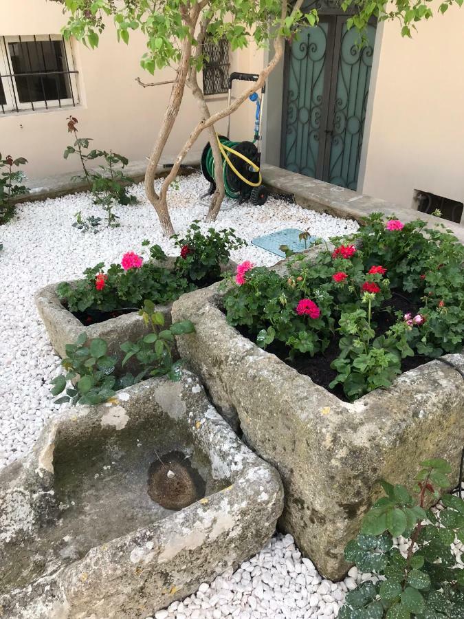 Giardini 82 B&B Gravina in Puglia Kültér fotó